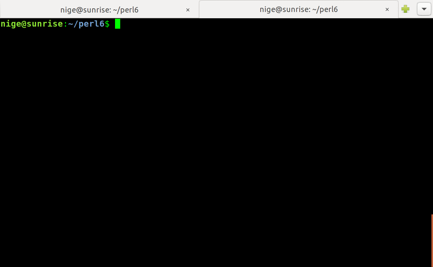Terminal recording showing fix alias applied to previous perl6 command